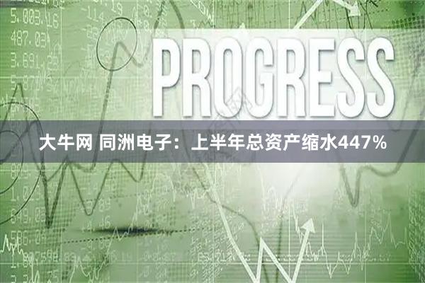 大牛网 同洲电子：上半年总资产缩水447%