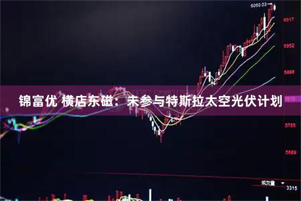 锦富优 横店东磁：未参与特斯拉太空光伏计划